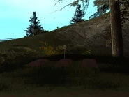 ExnoviosCatalina.jpg (49 kB) Tumbas al lado de la Casa de Catalina, supuestamente de sus Ex-novios