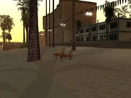 VeronaB3.jpg (85 kB) Unas sillas y al fondo se pueden ver casas y locales.