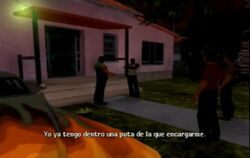 Pelotas1