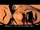 Street of Rage GTA CW.jpg