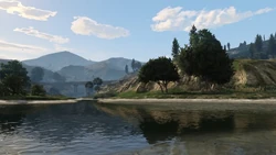 La confluencia del Río Zancudo y del arroyo que baja desde el Tongva Valley, en el punto que marca el comienzo de los humedales.