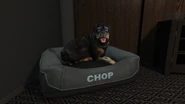 Agencia Chop GTA-O (3).png (2,51 MB) Chop tumbado en su cama de la oficina de Franklin.