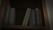 El libro.