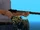 CountryRifle.png