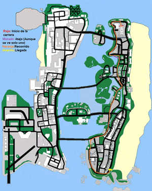 RC Baron Race track