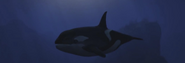 Orca en GTA V