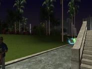 Vista de las armas en la parte norte.