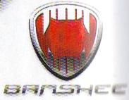 Logo Banshee