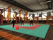 Interior del gimnasio o Dojo