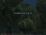 García4.jpg (66 kB) Una de las 50 fotografías que tenemos que tomar a lo largo del juego.