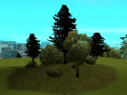 AvispaClub1.jpg (61 kB) Uno de los paisajes más comunes del Avispa Country Club.