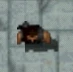Player GTA 2