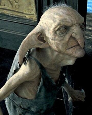 Kreacher Harry Potter Wiki Fandom