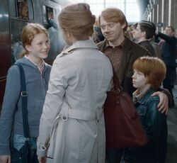 P7 Familia Weasley Granger