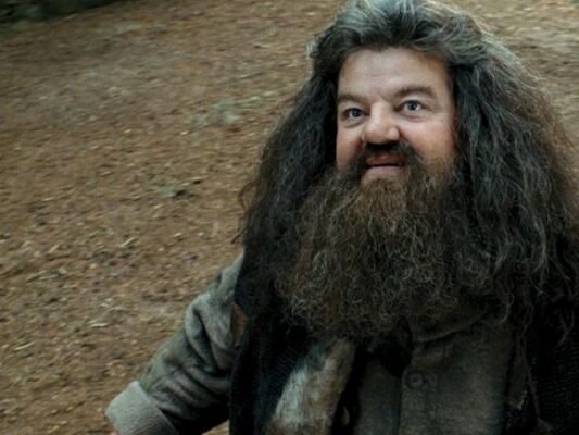 Rubeus Hagrid, Harry Potter Wiki