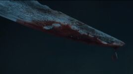 Sangre