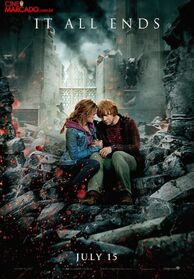 Hermione & Ron poster