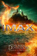 Póster de la película en formato IMAX