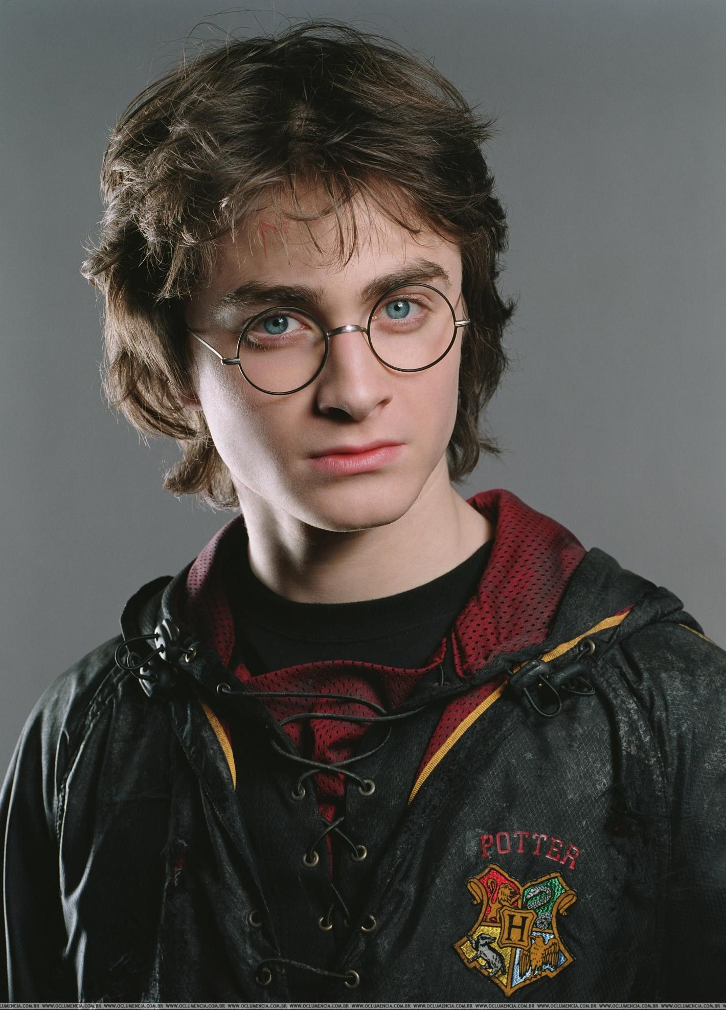 Charles Weasley, Harry Potter Wiki