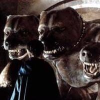 Cancerbero Harry Potter Wiki Fandom El nombre canserbero proviene de cerbero, el perro guardian del inframundo que es mencionado en la mitologia griega, velaba que solo las almas pudieran pasar y que. cancerbero harry potter wiki fandom