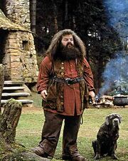 Hagrid con 