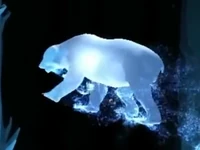 Oso polar