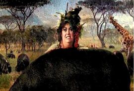 La Dama Gorda escondida detrás de un hipopótamo