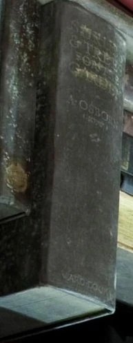 Arbustosarbolesjardin