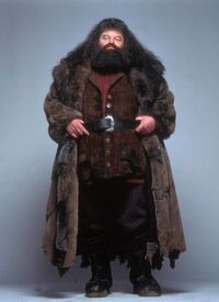 Hagrid apariencia