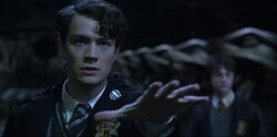 Tom Riddle Chamber of Secrets