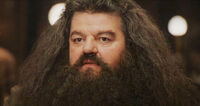 Rubeus Hagrid slider diciembre