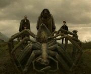 Muerte de aragog