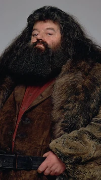 Rubeus Hagrid quién mostraba desdén hacia Lockhart