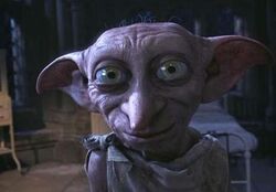 DOBBY