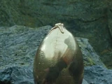 Huevo de oro