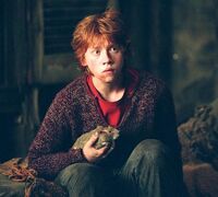 Ron y Scabbers