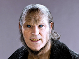 Fenrir Greyback