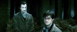 P7 Harry-potter7-harry lupin