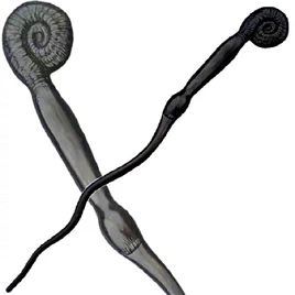 Peter pettigrew wand