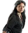 Padma Patil profile
