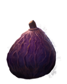 ShrivelfigPottermore.png