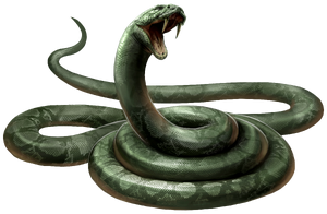 Nagini PM.png