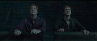 HPDH Fred and George