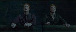 HPDH Fred and George