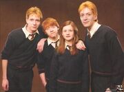 Los hermanos weasley