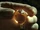 CurseMarvoloGaunt'sRing.png