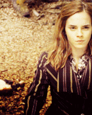 Protego Totalum Harry Potter Wiki Fandom Protego Totalum Harry Potter Wiki Fandom