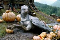 P3 Buckbeak