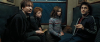Lupin con Hermione, Ron, Crookshanks y Harry en el tren