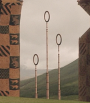 Quidditch goal post's